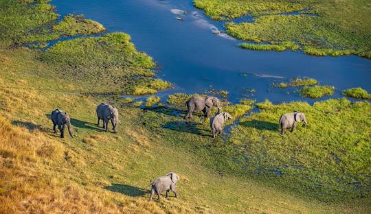 Okavango Delta