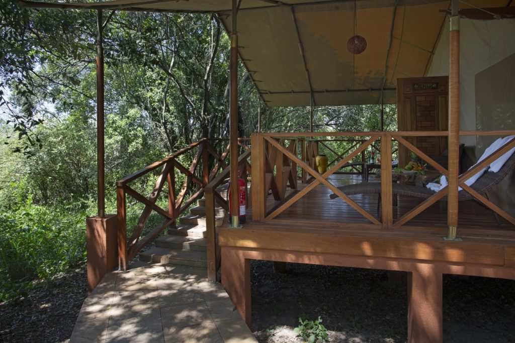 Mara Loyk Luxury Camp