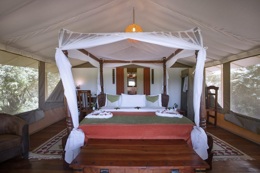 Mara Loyk Luxury Camp