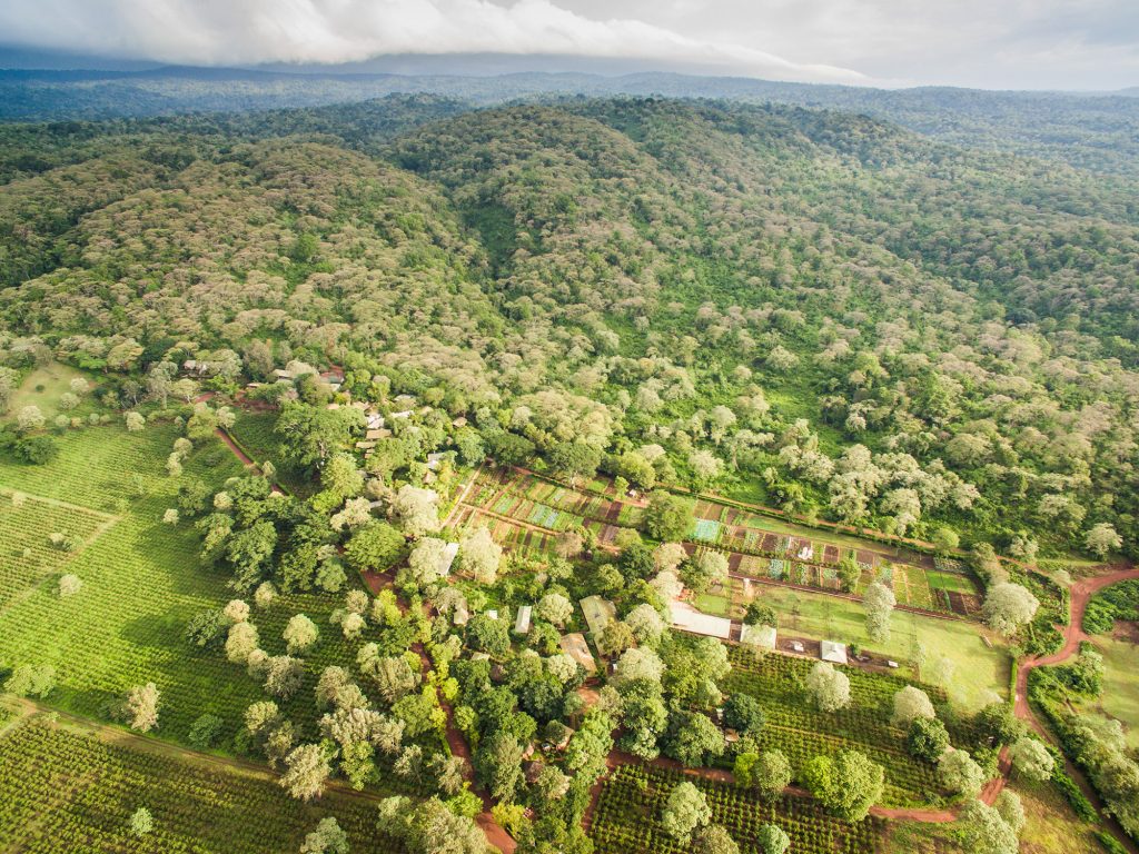 Gibb's Farm Ngorongoro