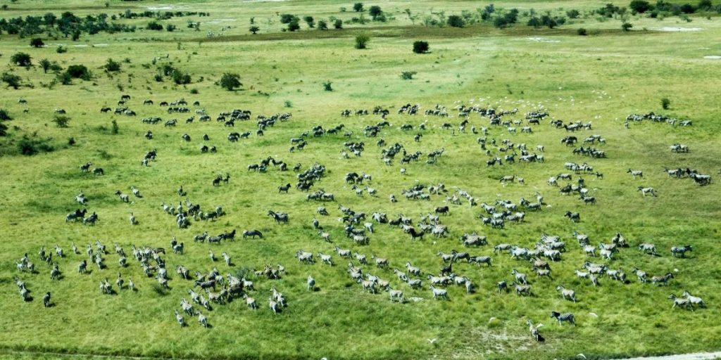 Makgadikgadi Pans National Park