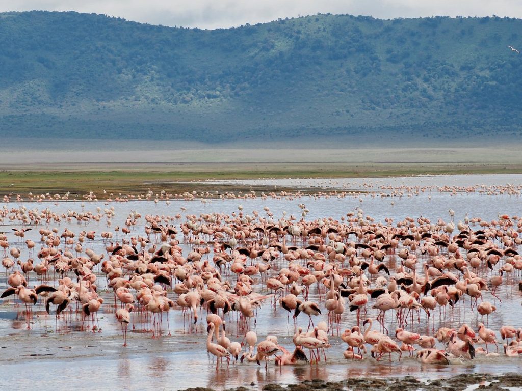 Lemala Ngorongoro Camp