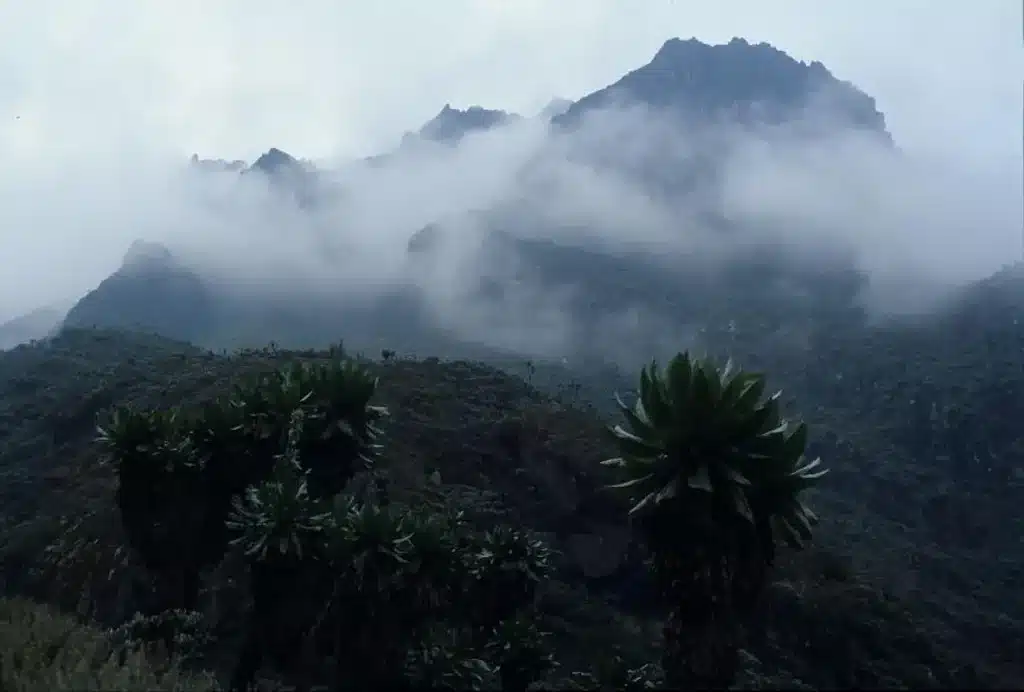 10 Tallest Mountains In Africa 16 10 Tallest Mountains in Africa