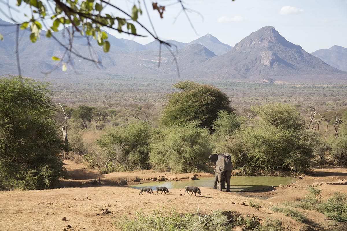 Mathews Ranges 142 Mathews Range Samburu