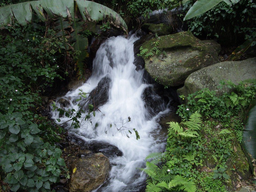 Rwenzori Mountains National Park