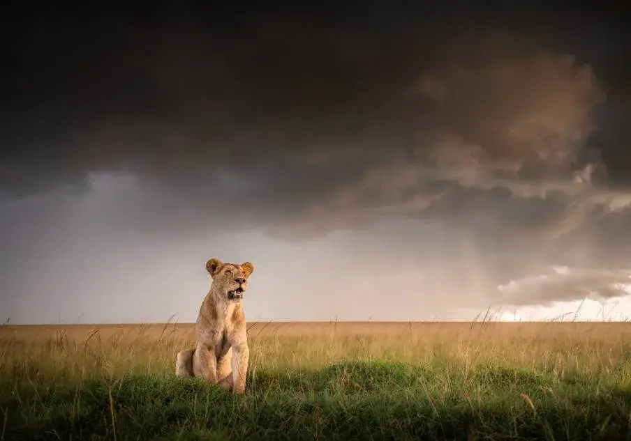 Best Time To Visit Kenya 14 April - Best Time to Visit Kenya for Safaris