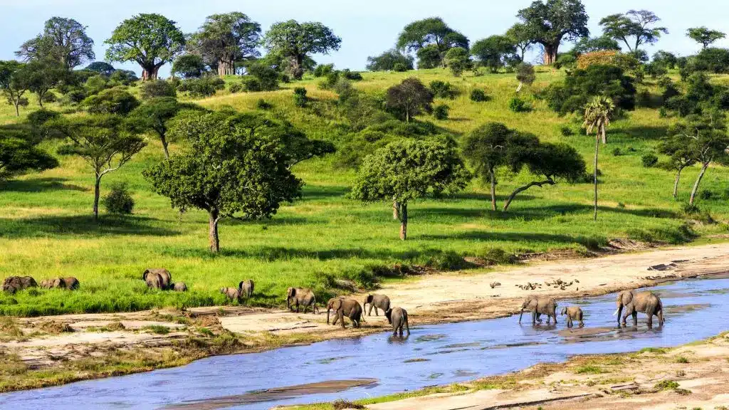 Interesting Facts About Serengeti National Park 55 BANNER Shutterstock Tanzania Serengeti Wildlife ElephantHerdCrossingRiver