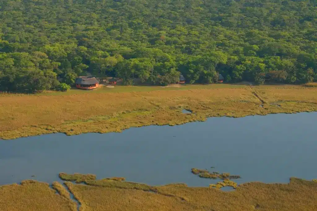 Zambia's Bat Migration