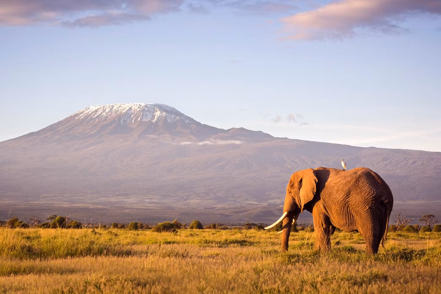 Best Time To Visit Kenya 15 April - Best Time to Visit Kenya for Safaris