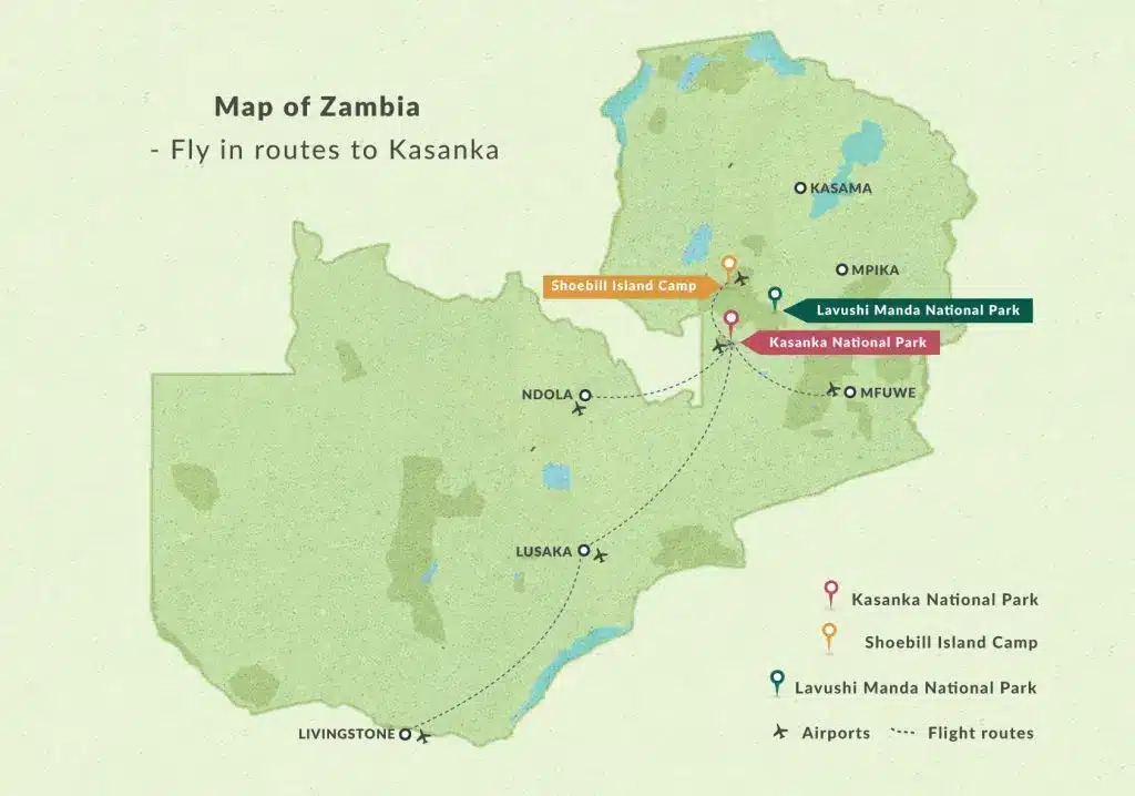 Zambia's Bat Migration