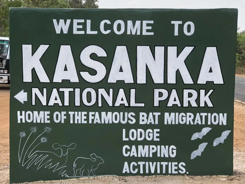 Zambia's Bat Migration