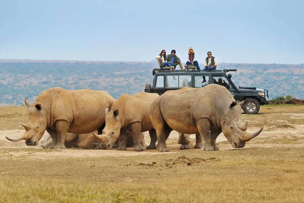 Our Top 10 Best African Safaris &Amp; Tour Holidays 12 African Luxury Safaris - African Safaris