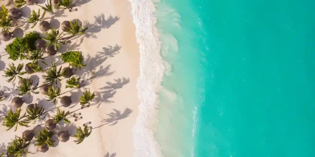 Ultimate Guide To Zanzibar 10 Ultimate Guide to Zanzibar