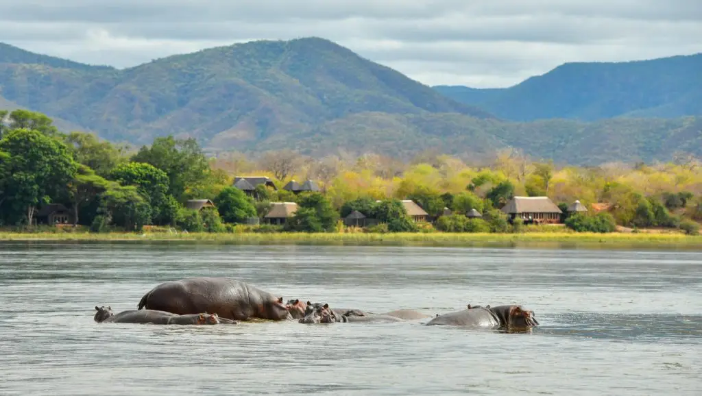 Royal Zambezi Lodge