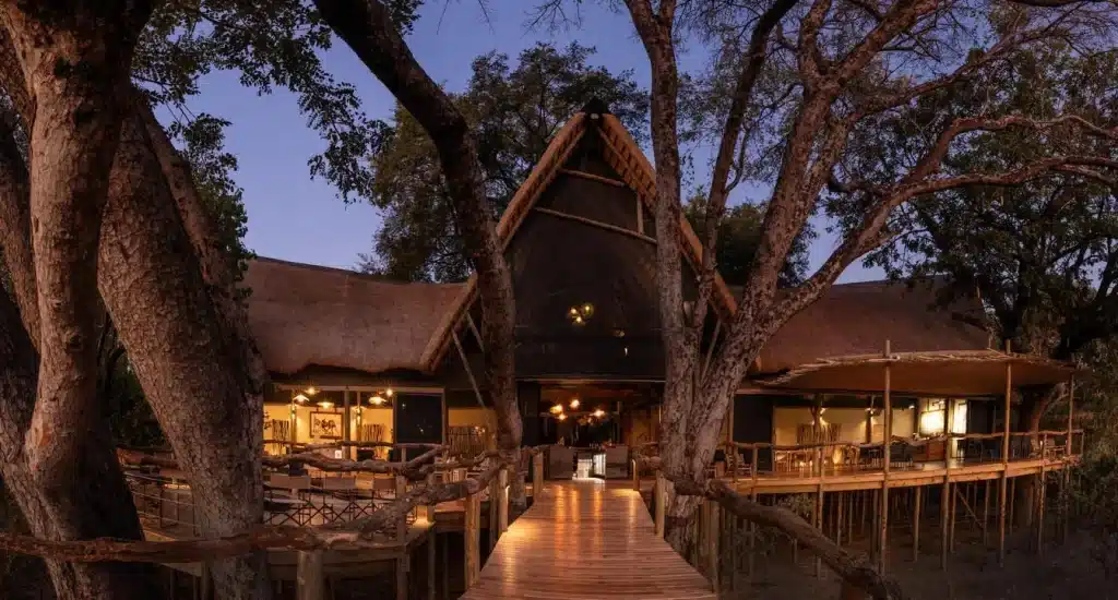 Wilderness Tubu Tree