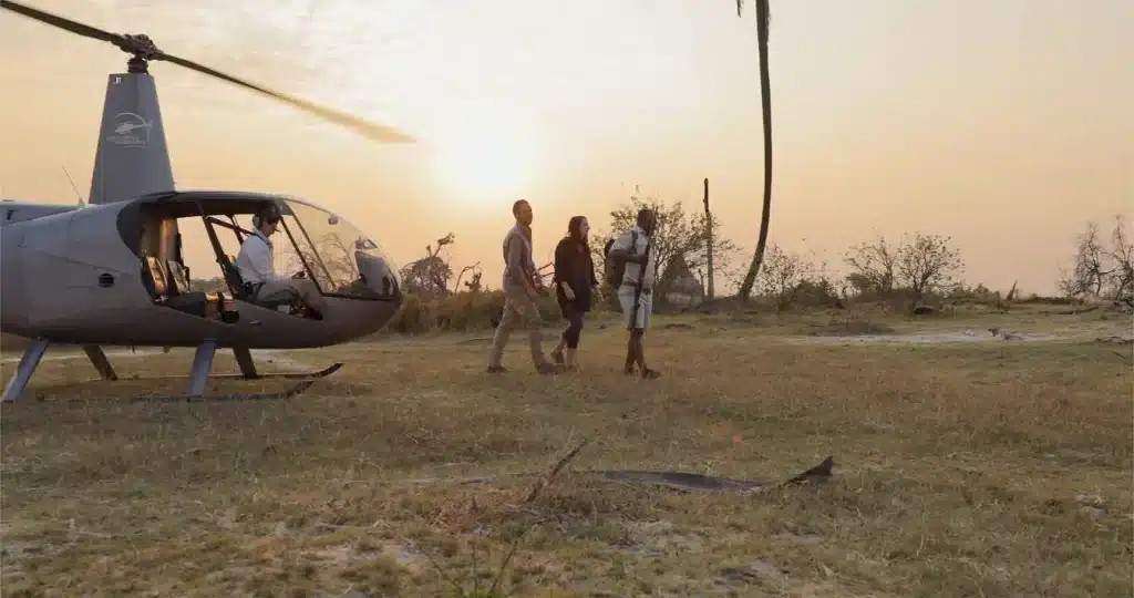 What Are The Best Safari Activities In Botswana 17 Best Safari Activities in Botswana