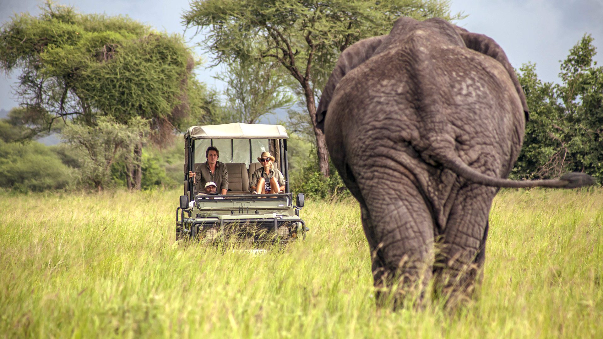 Best Time To Visit Tanzania For Safari - May