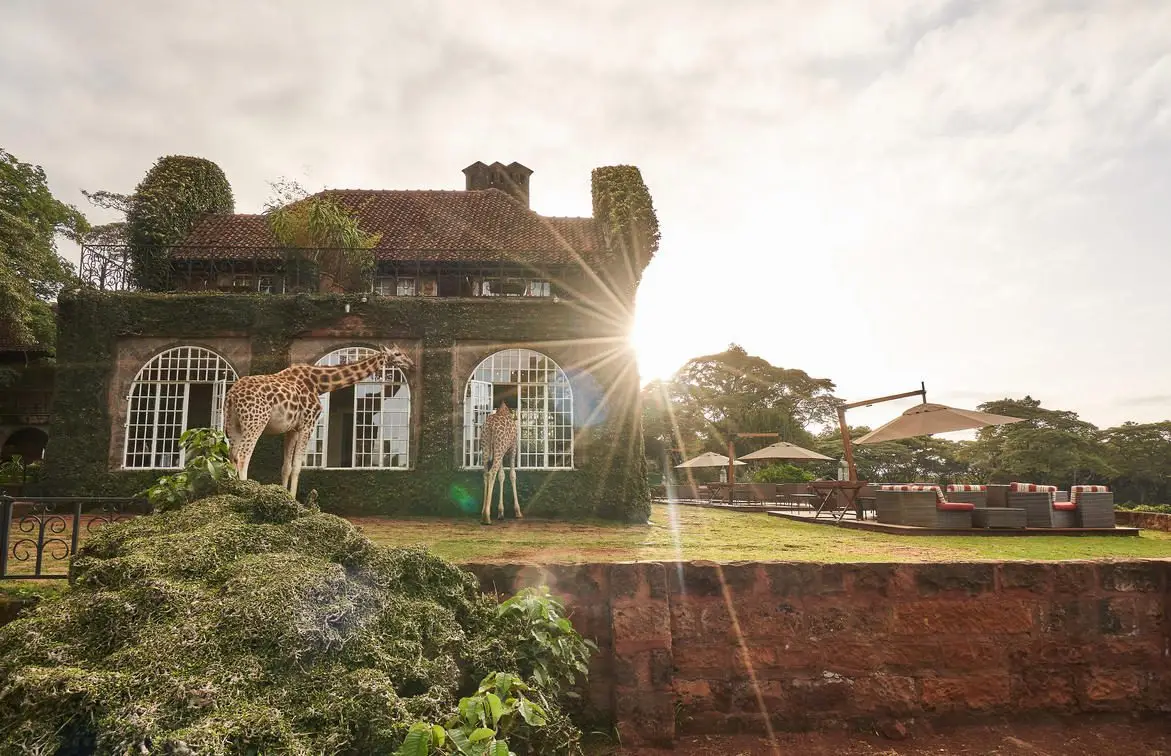 Giraffe Manor In Kenya 12 Giraffe Manor in Kenya