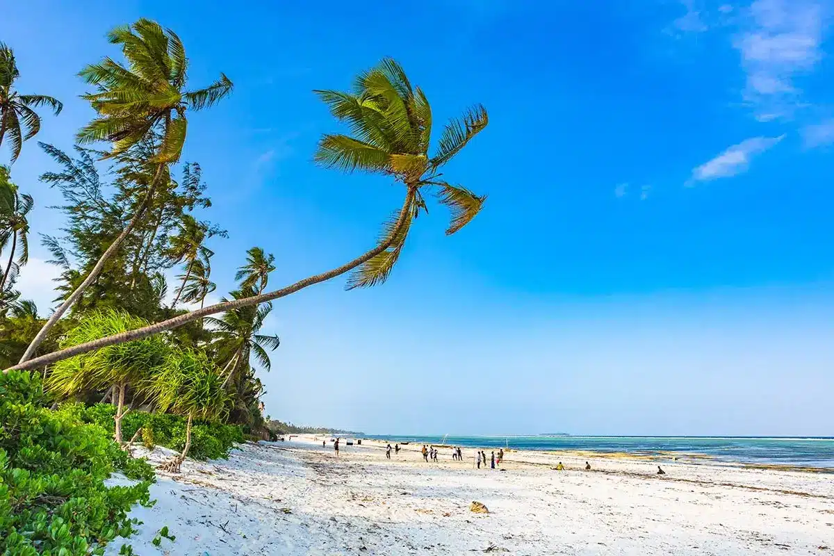 Best Beaches and Islands in Zanzibar