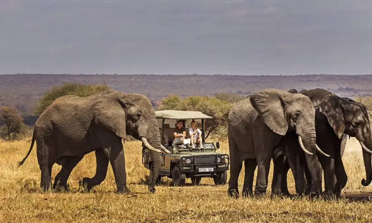Best Time To Visit Tanzania 17 Best Time To Visit Tanzania For Safari - April