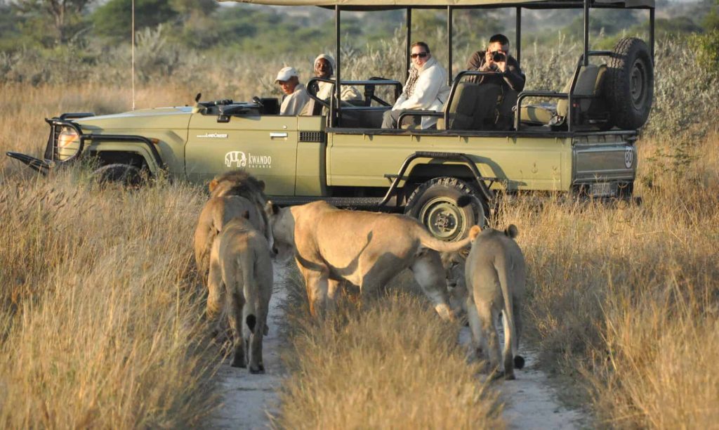 Botswana Safaris in August - Best time to visit Botswana for Safaris - Cheetah Safaris