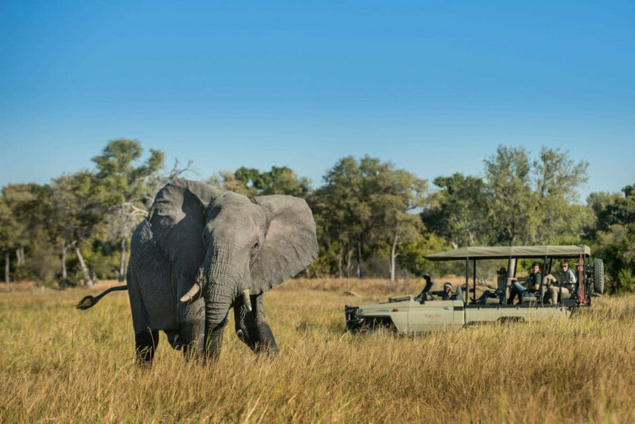 Botswana Safaris in December - Best time to visit Botswana for Safaris - Cheetah Safaris