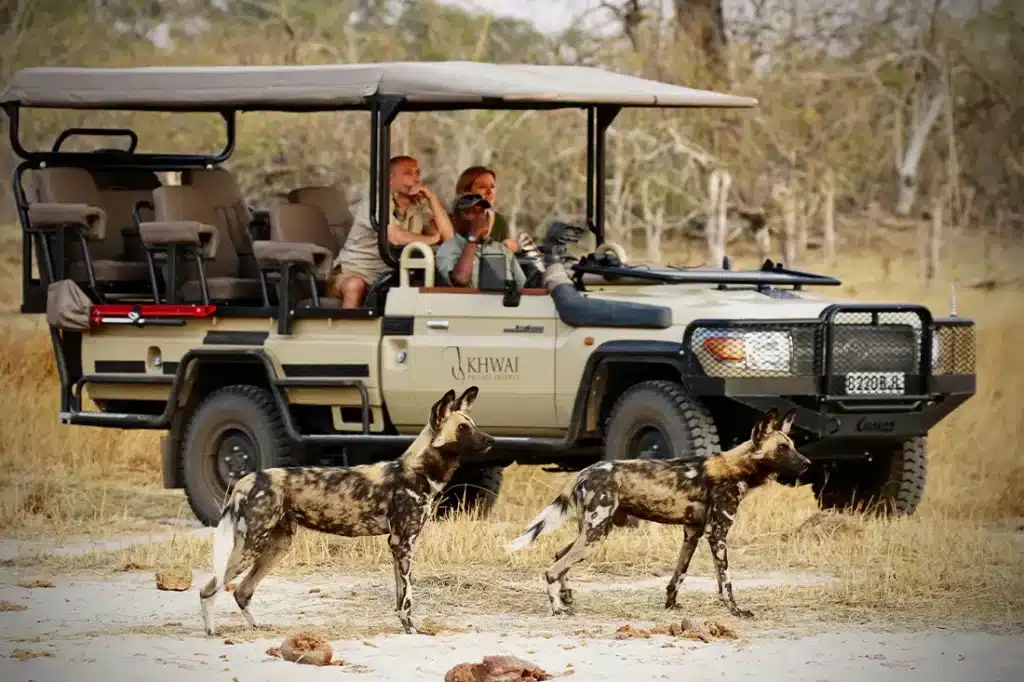 Botswana Safaris in July - Best time to visit Botswana for Safaris - Cheetah Safaris