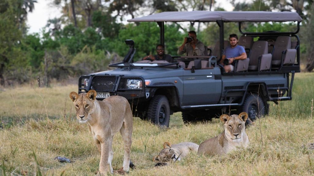 Botswana Safaris in June - Best time to visit Botswana for Safaris - Cheetah Safaris