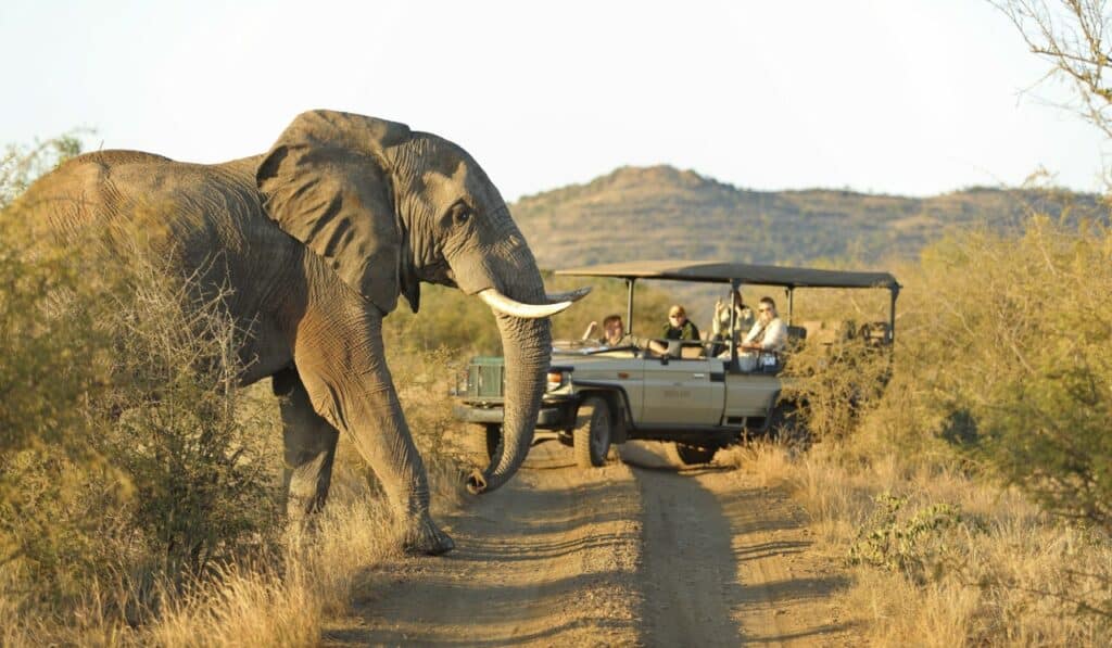 Botswana Safaris in March - Best time to visit Botswana for Safaris - Cheetah Safaris