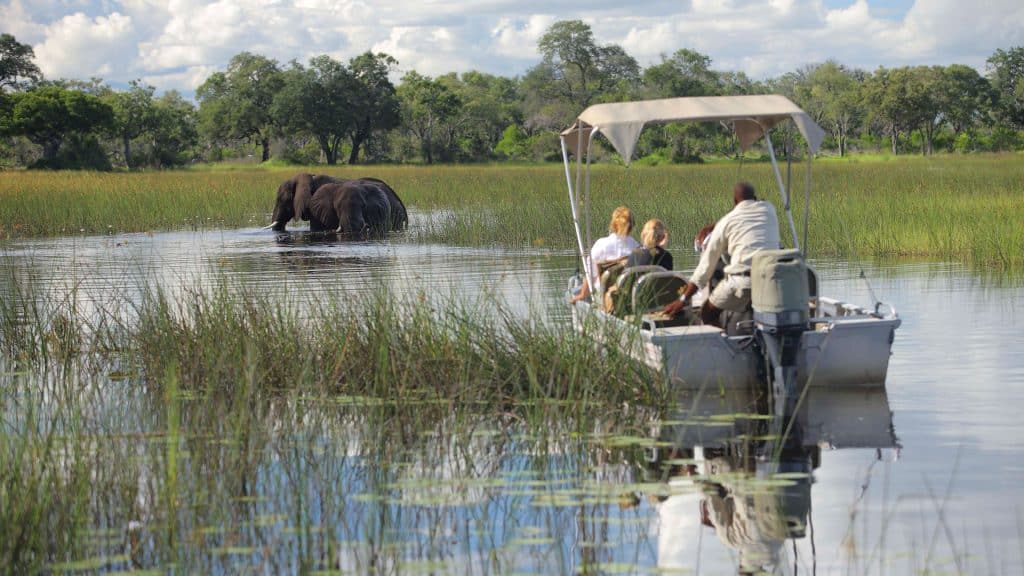 Botswana Safaris in November - Best time to visit Botswana for Safaris - Cheetah Safaris