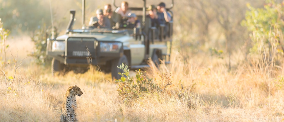 Botswana Safaris in October - Best time to visit Botswana for Safaris - Cheetah Safaris
