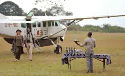 Cheetah Safaris 7 Mobile-Luxury-African-Safaris-Home-Page-3-Cheetah-Safaris