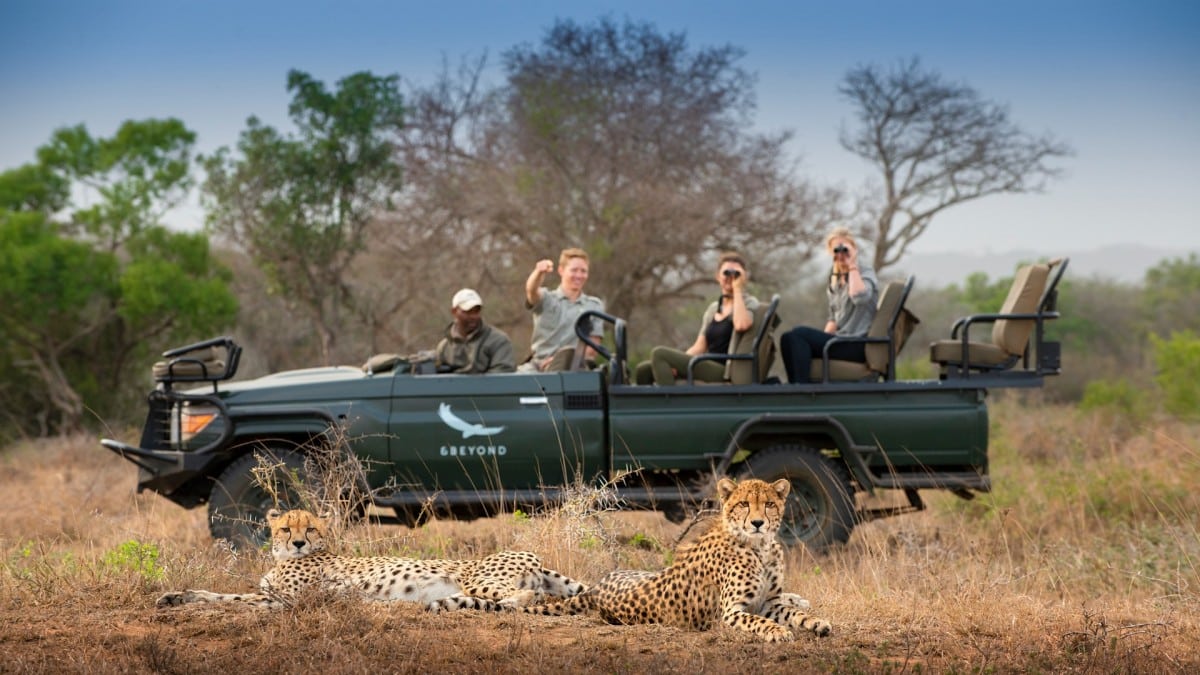 Luxury Safaris in South Africa - African Safaris - Cheetah Safaris