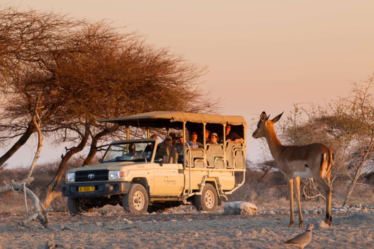 Namibia Safaris - Why you should visit Namibia - Cheetah Safaris