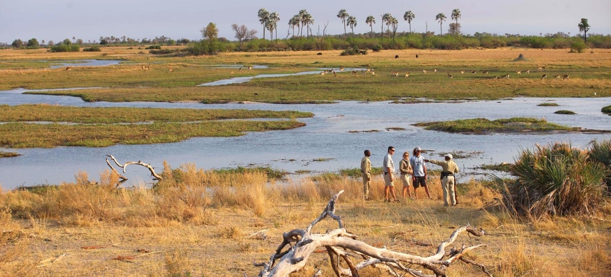 Okavango Delta Travel Guide - Botswana Safaris - MWalking Safaris - Cheetah Safaris