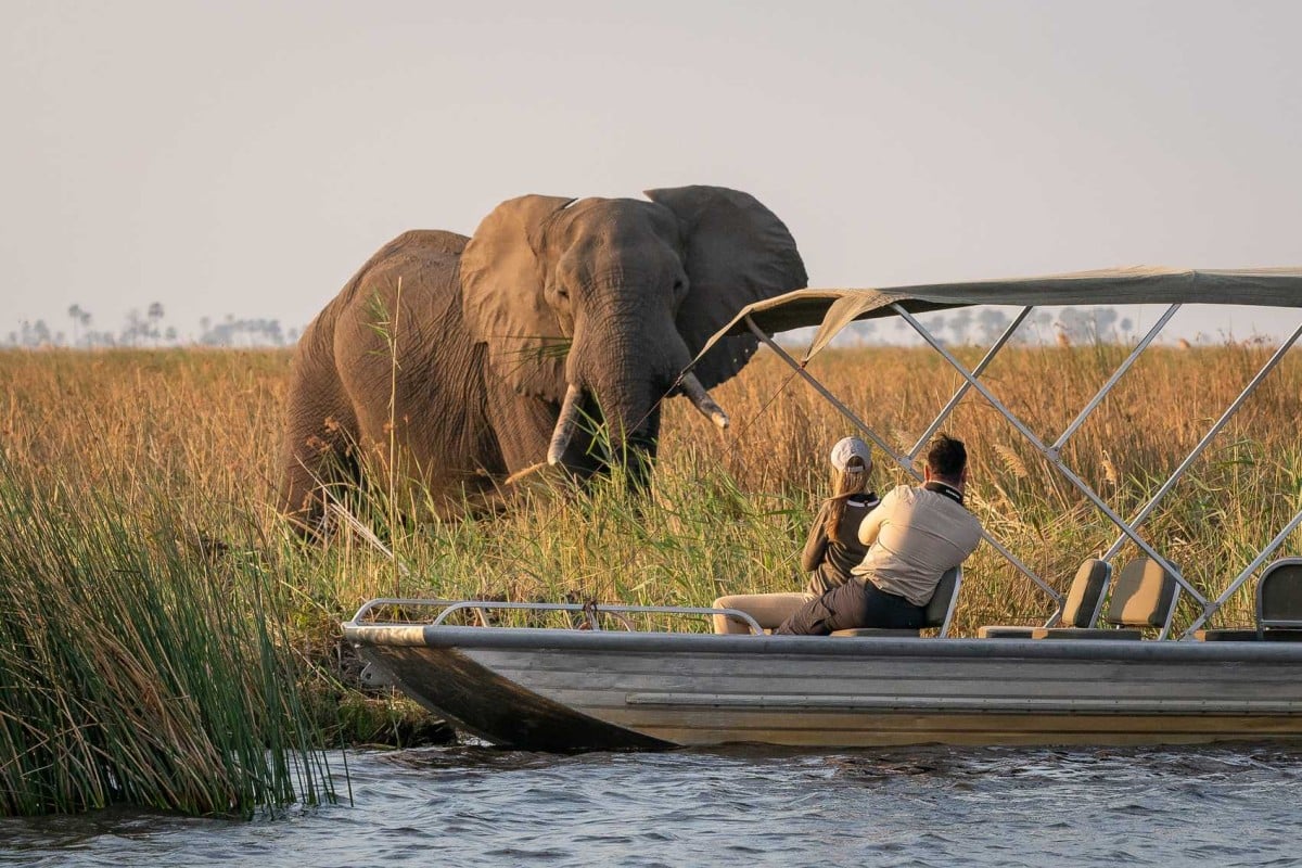 Okavango Delta Travel Guide - Botswana Safaris - Mokoro Boat Rides - Cheetah Safaris