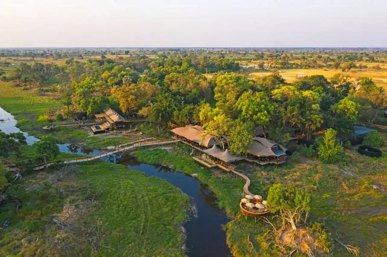 Okavango Delta Travel Guide - Botswana Safaris - Places to Stay - Cheetah Safaris