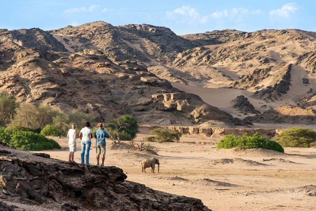 Best Time to Visit Namibia - April - Cheetah Safaris