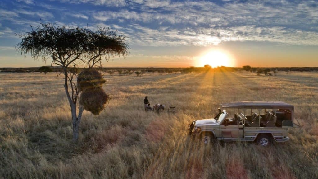 Best Time to Visit Namibia - February - Cheetah Safaris