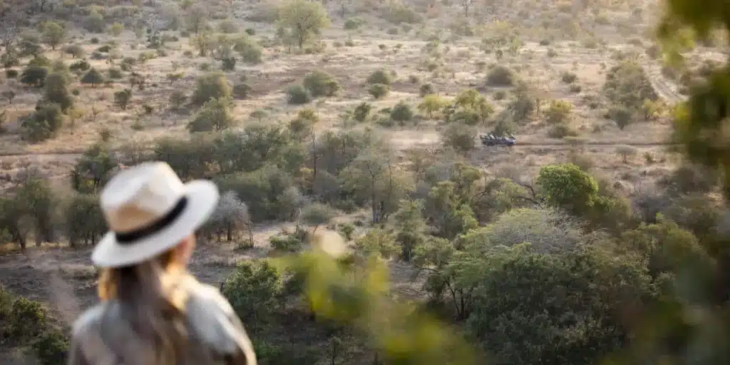 Best Time to Visit Namibia January Cheetah Safaris