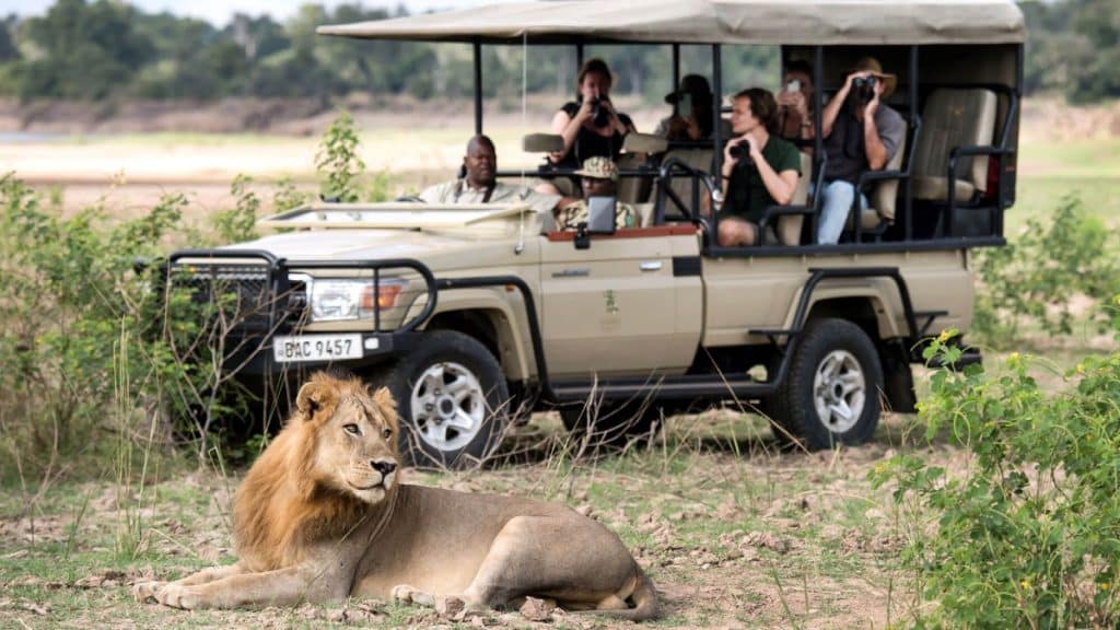 Best Time to Visit Zambia - January - Cheetah Safaris