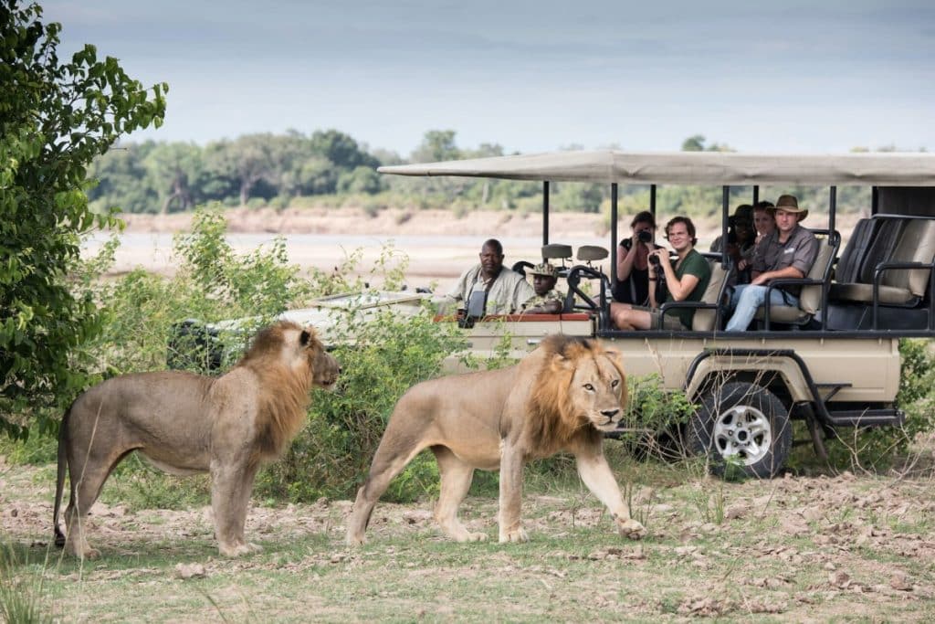 Best Time to Visit Zambia - September - Cheetah Safaris
