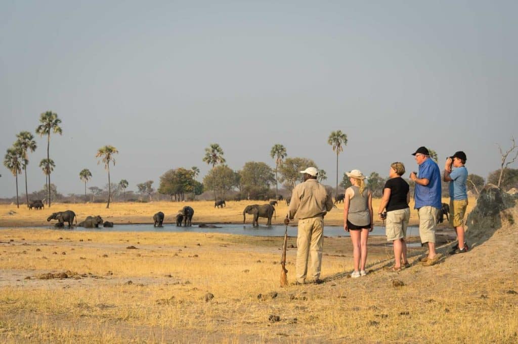 Best Time to Visit Zimbabwe - August - Family Safaris - Cheetah Safaris