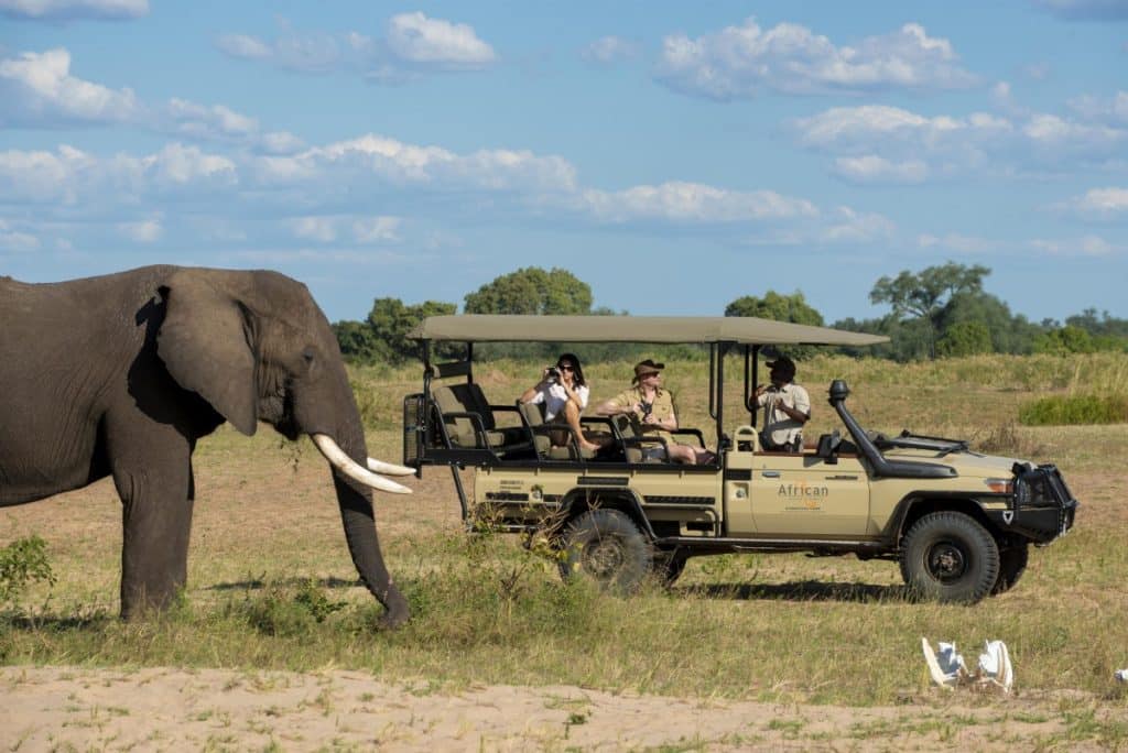 Best Time to Visit Zimbabwe - June - Cheetah Safaris