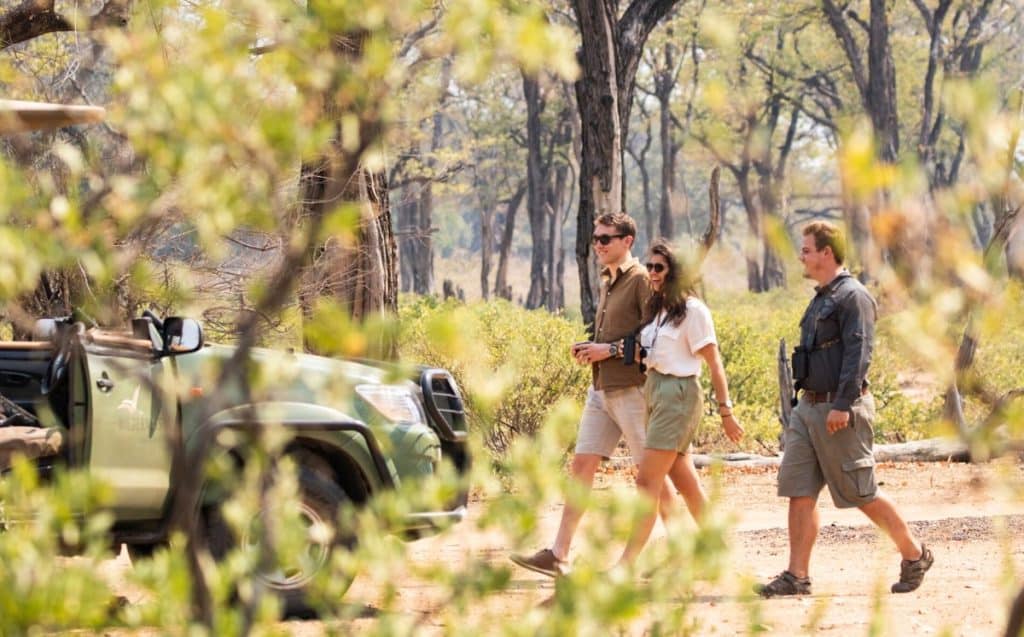 Best Time to Visit Zimbabwe - March - Cheetah Safaris