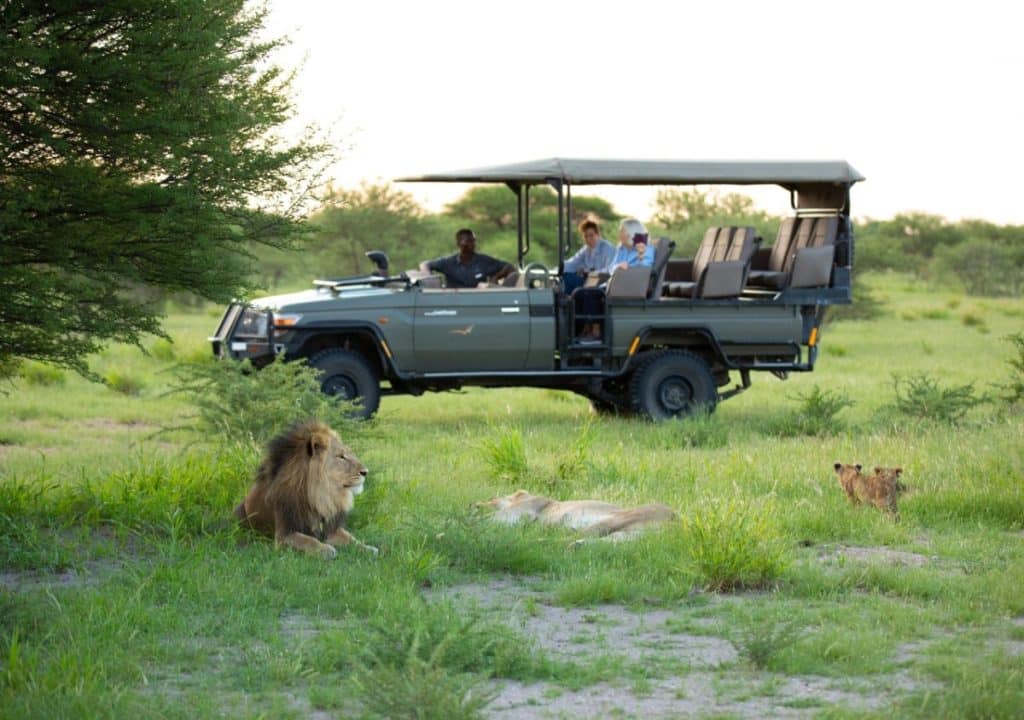 Best Time to Visit Zimbabwe - March - Cheetah Safaris