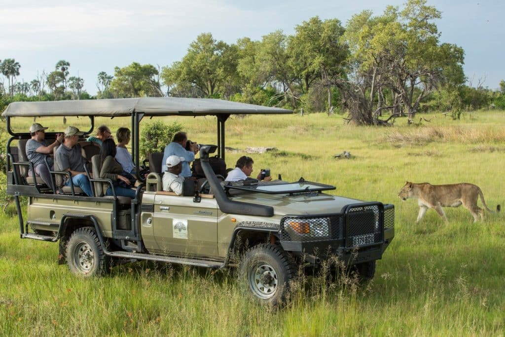 Best Time to Visit Zimbabwe - May - Cheetah Safaris