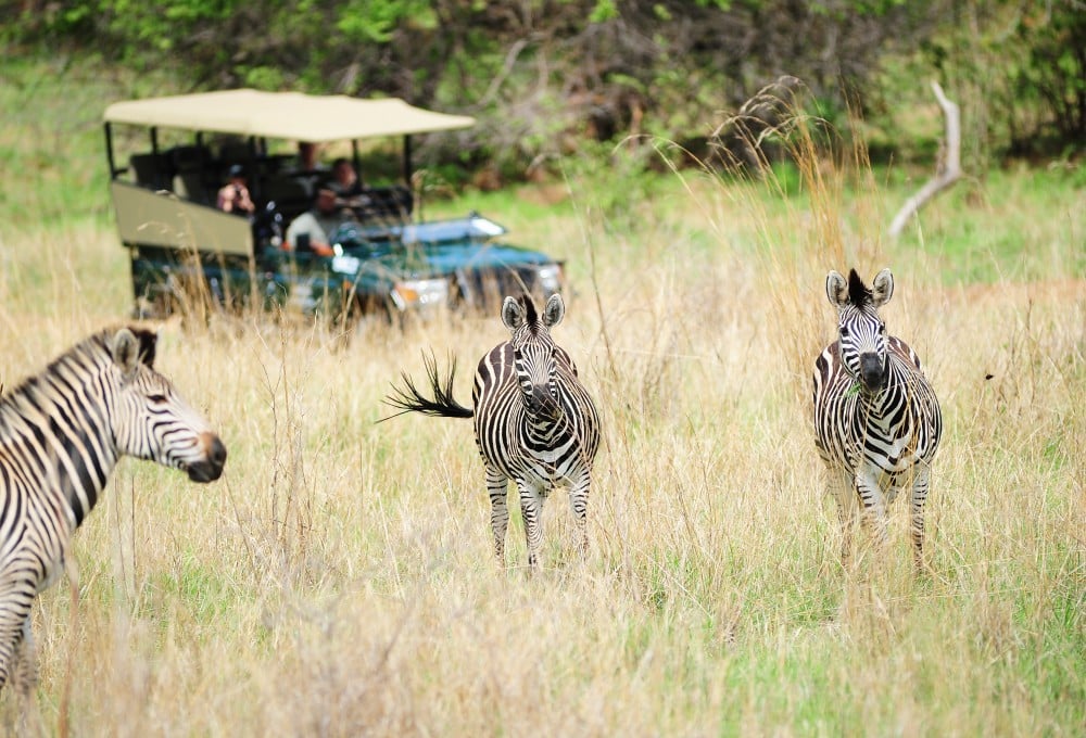 Best Time to Visit Zimbabwe - May - Cheetah Safaris