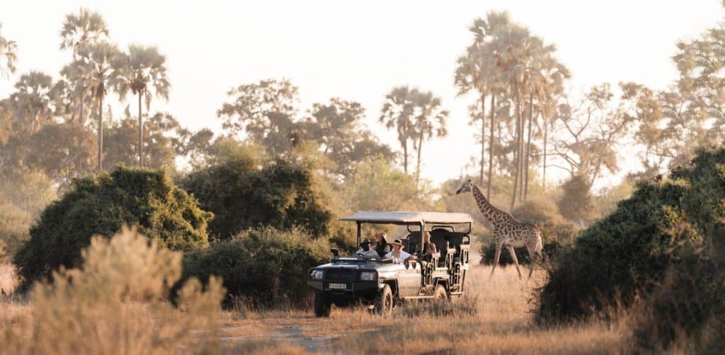 Best Time to Visit Zimbabwe - October - Cheetah Safaris