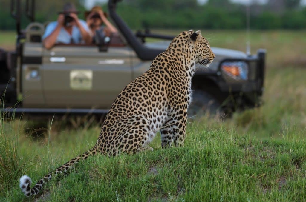 Best Time to Visit Zimbabwe - October - Cheetah Safaris